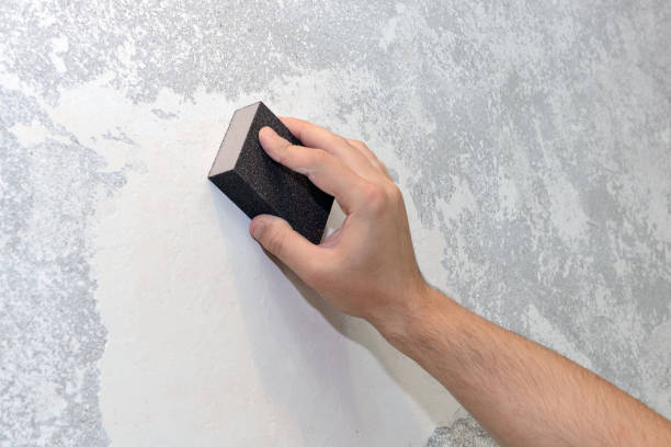 Reliable Waikoloa Village, HI Mold Removal Solutions